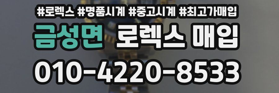 금성면 로렉스 매입