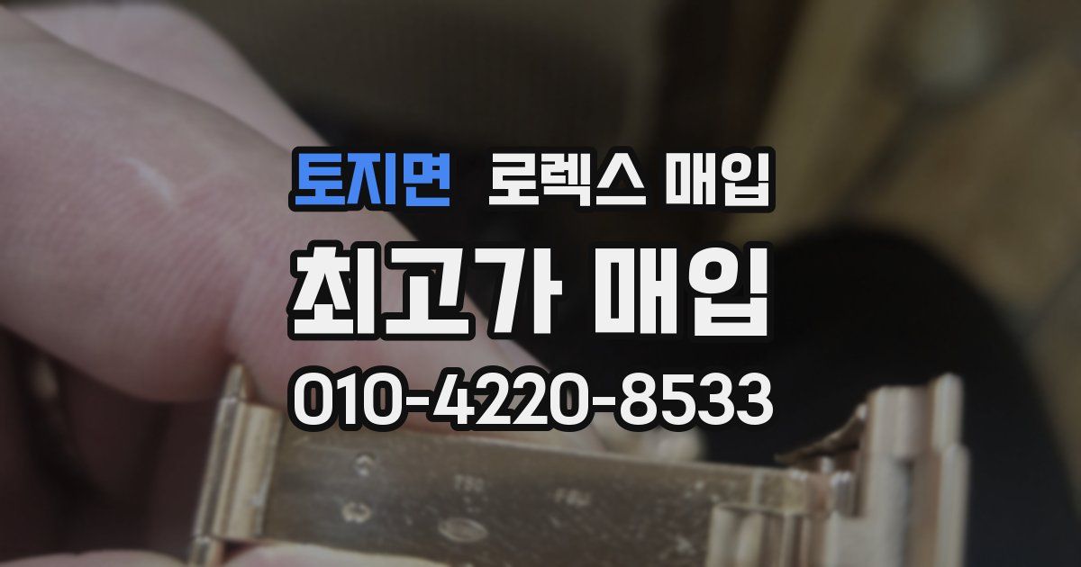 토지면 로렉스 매입