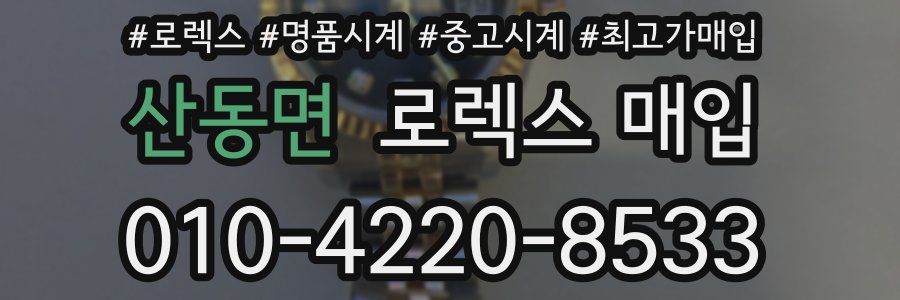 산동면 로렉스 매입