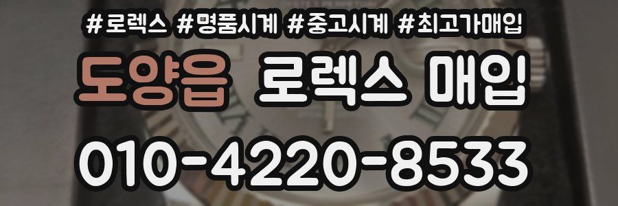 도양읍 로렉스 매입
