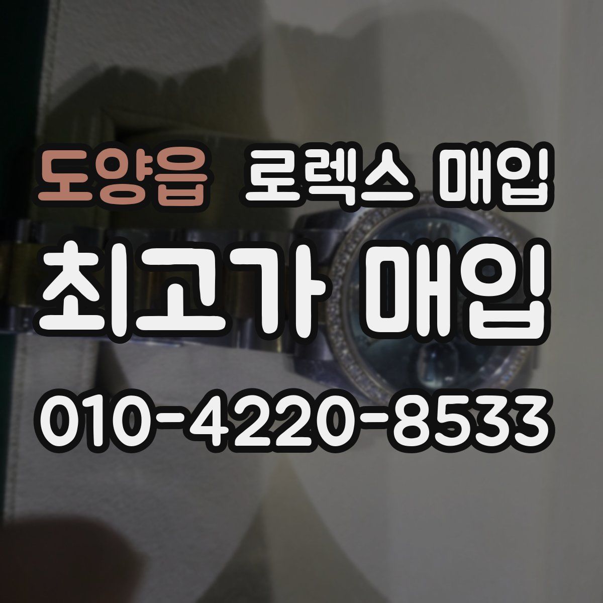 도양읍 로렉스 매입