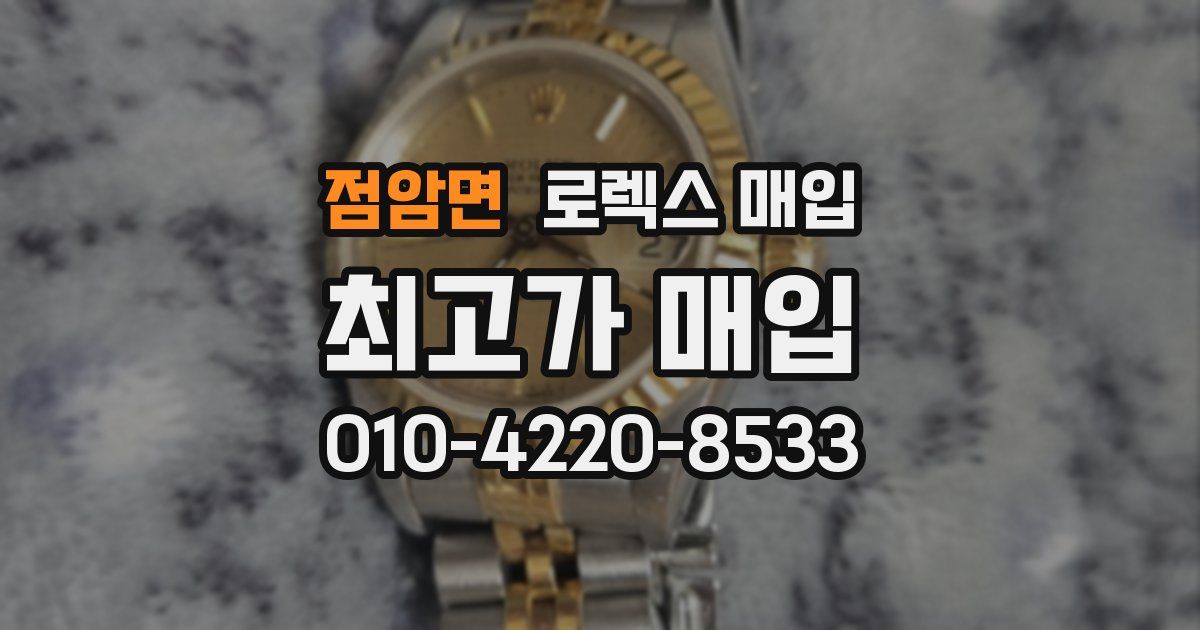 점암면 로렉스 매입