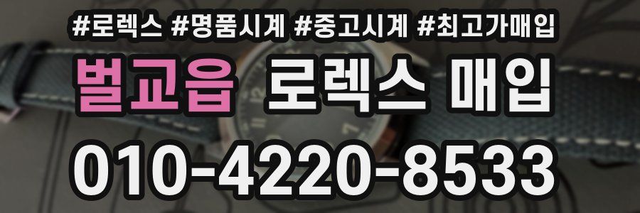 벌교읍 로렉스 매입