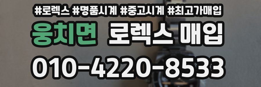 웅치면 로렉스 매입