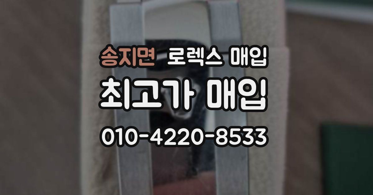 송지면 로렉스 매입