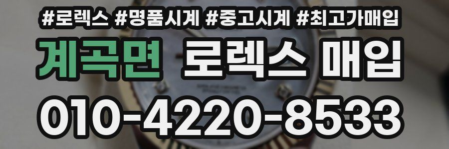 계곡면 로렉스 매입