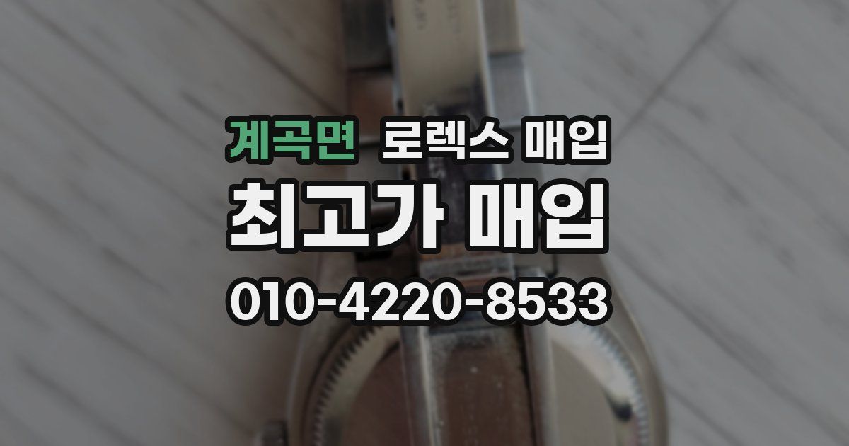 계곡면 로렉스 매입