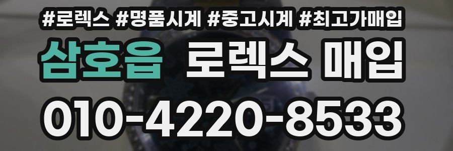 삼호읍 로렉스 매입