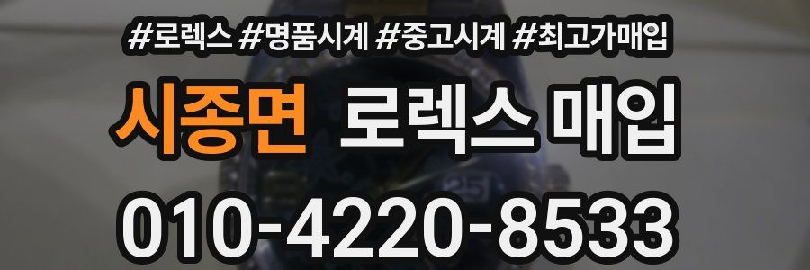 시종면 로렉스 매입