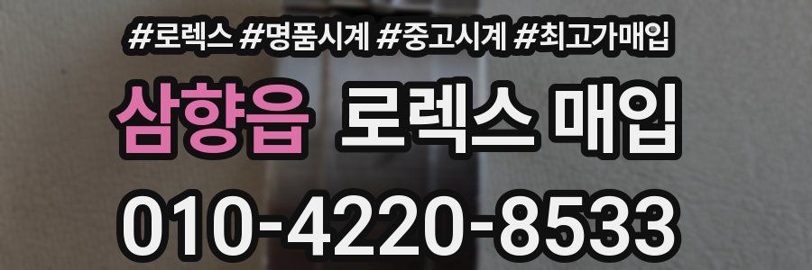 삼향읍 로렉스 매입