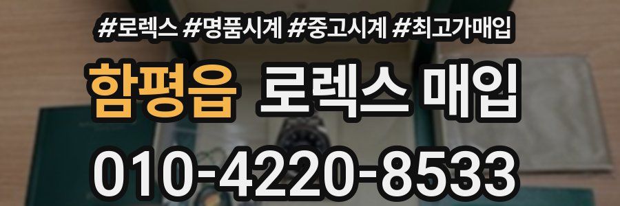 함평읍 로렉스 매입