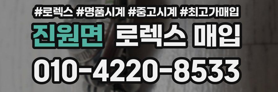 진원면 로렉스 매입