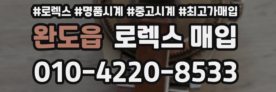 완도읍 로렉스 매입