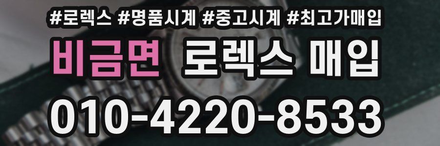 비금면 로렉스 매입