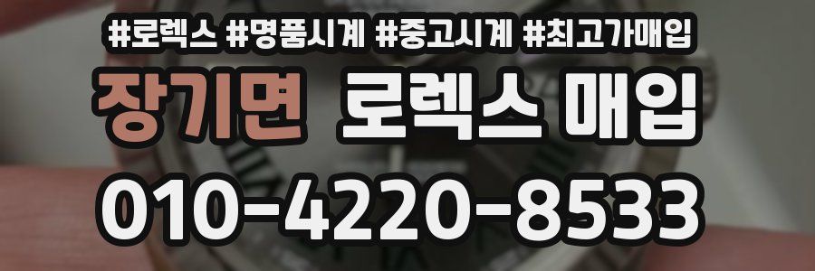 장기면 로렉스 매입