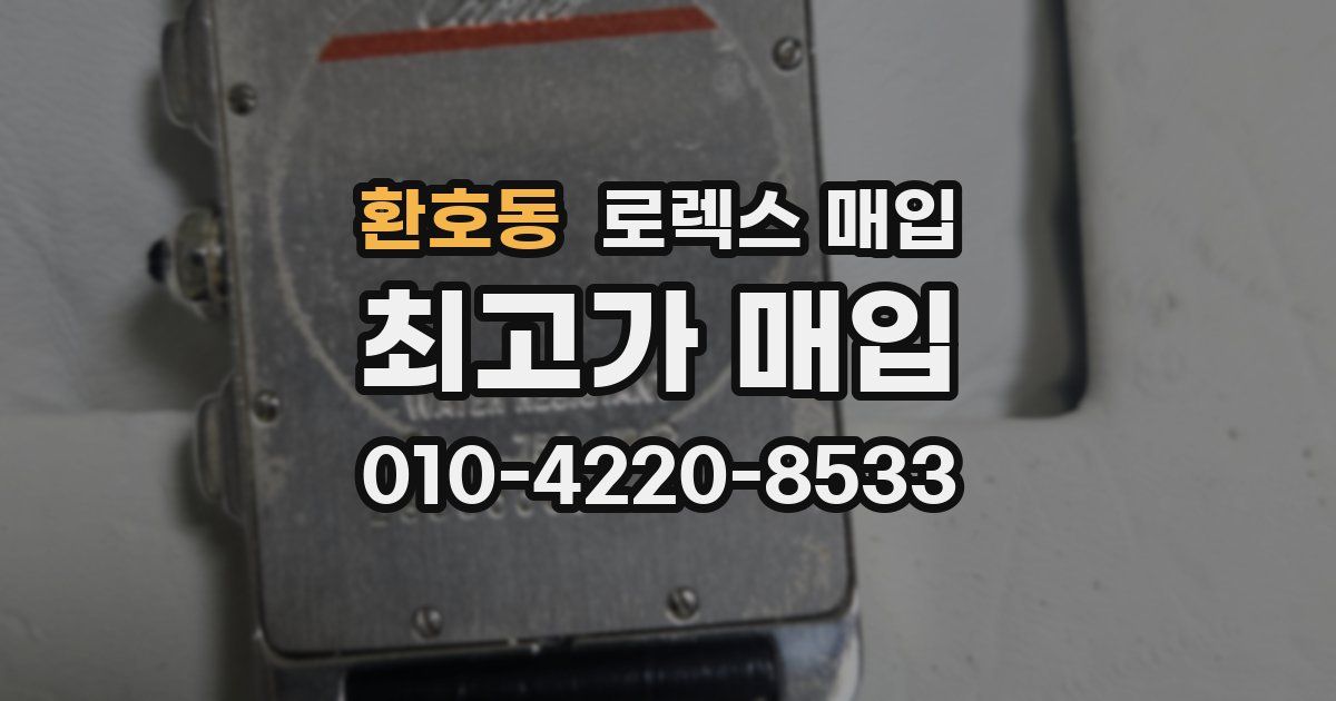 환호동 로렉스 매입