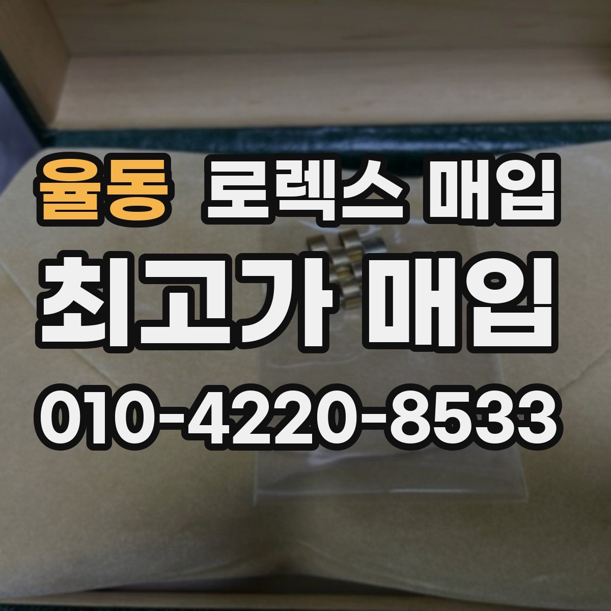 율동 로렉스 매입