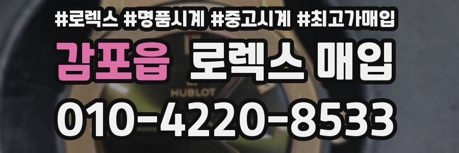 감포읍 로렉스 매입