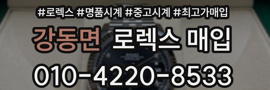 강동면 로렉스 매입