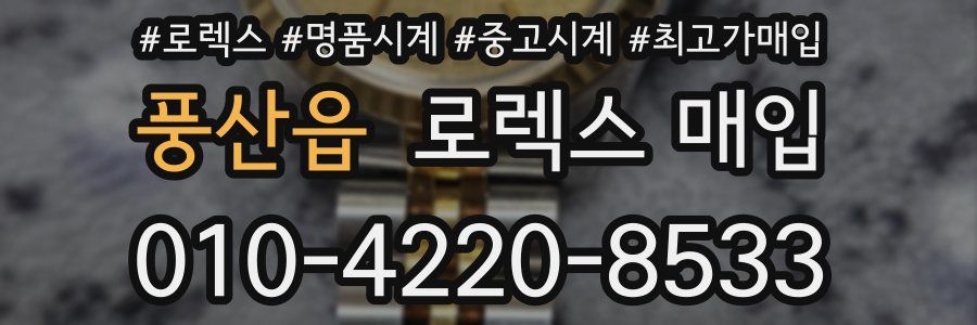 풍산읍 로렉스 매입