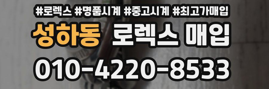 성하동 로렉스 매입