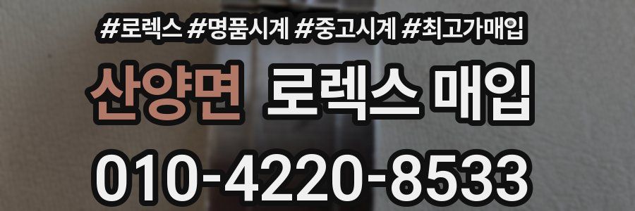 산양면 로렉스 매입