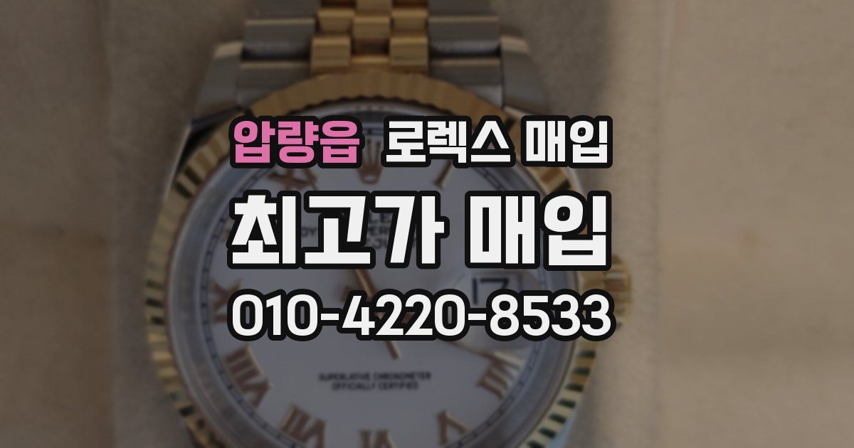 압량읍 로렉스 매입