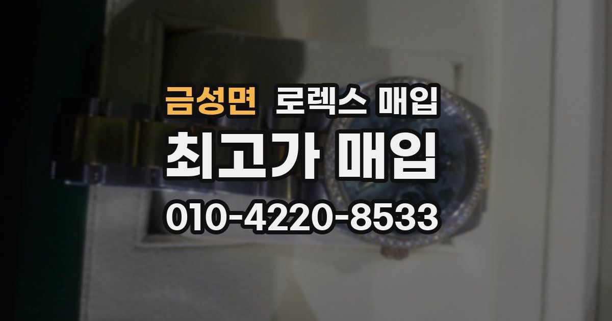 금성면 로렉스 매입