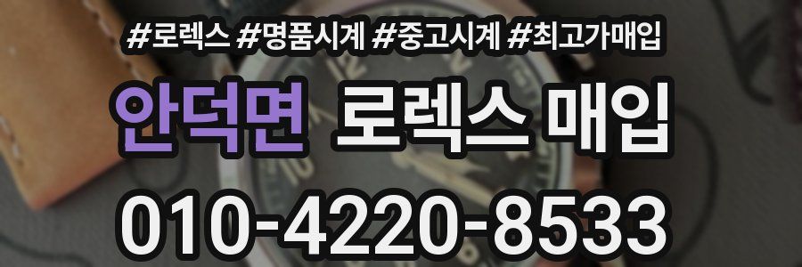 안덕면 로렉스 매입