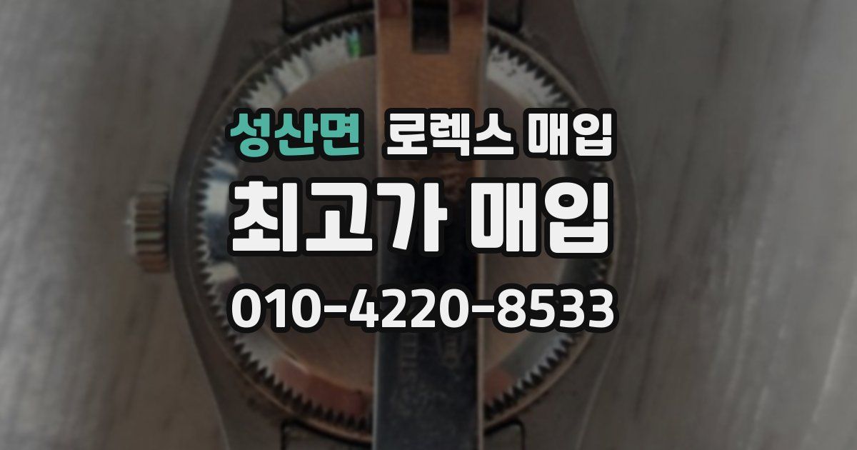 성산면 로렉스 매입