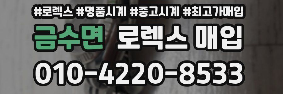 금수면 로렉스 매입