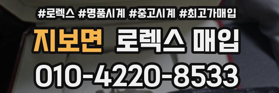 지보면 로렉스 매입