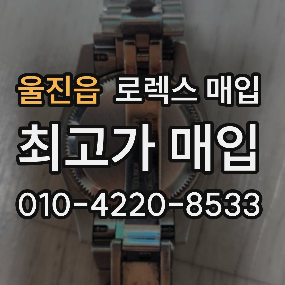 울진읍 로렉스 매입 플래티넘 모델 시세 확인 방법