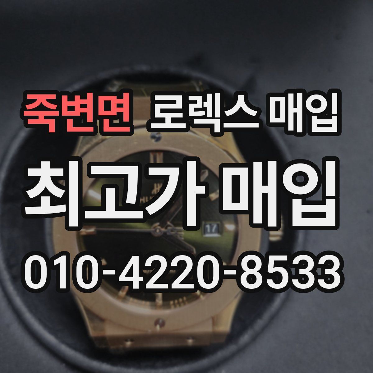 죽변면 로렉스 매입