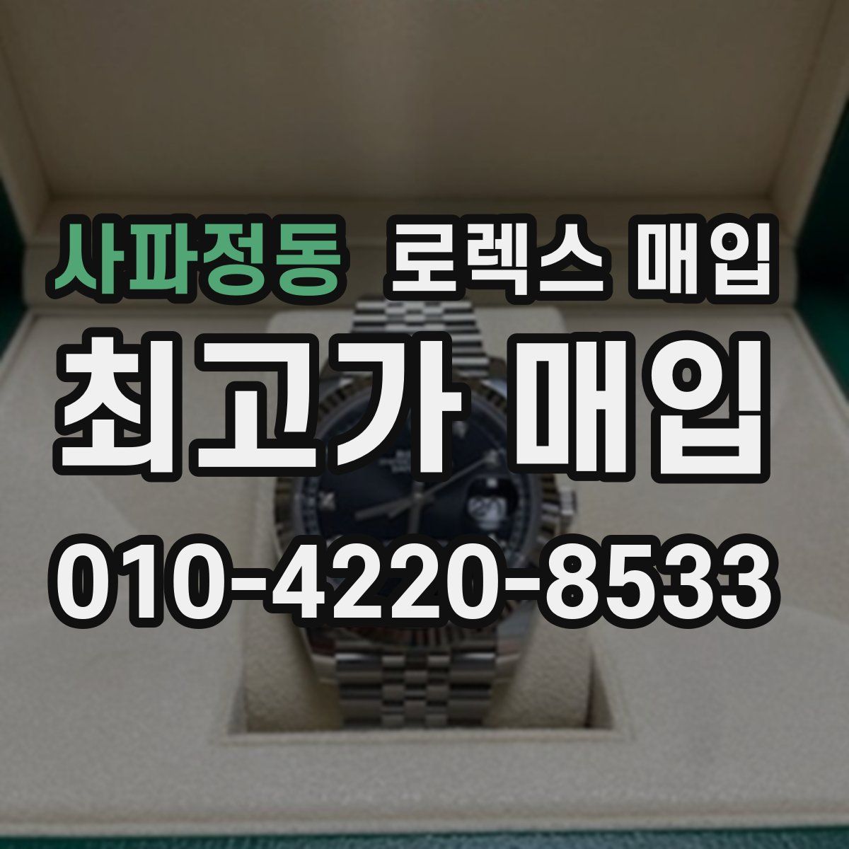 사파정동 로렉스 매입