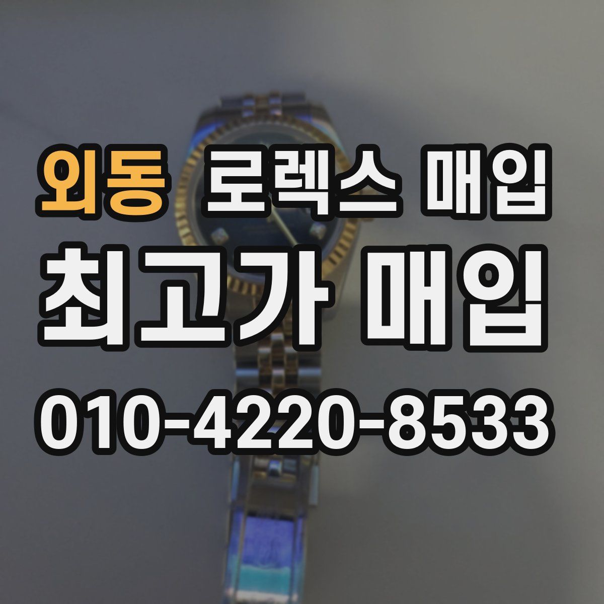외동 로렉스 매입