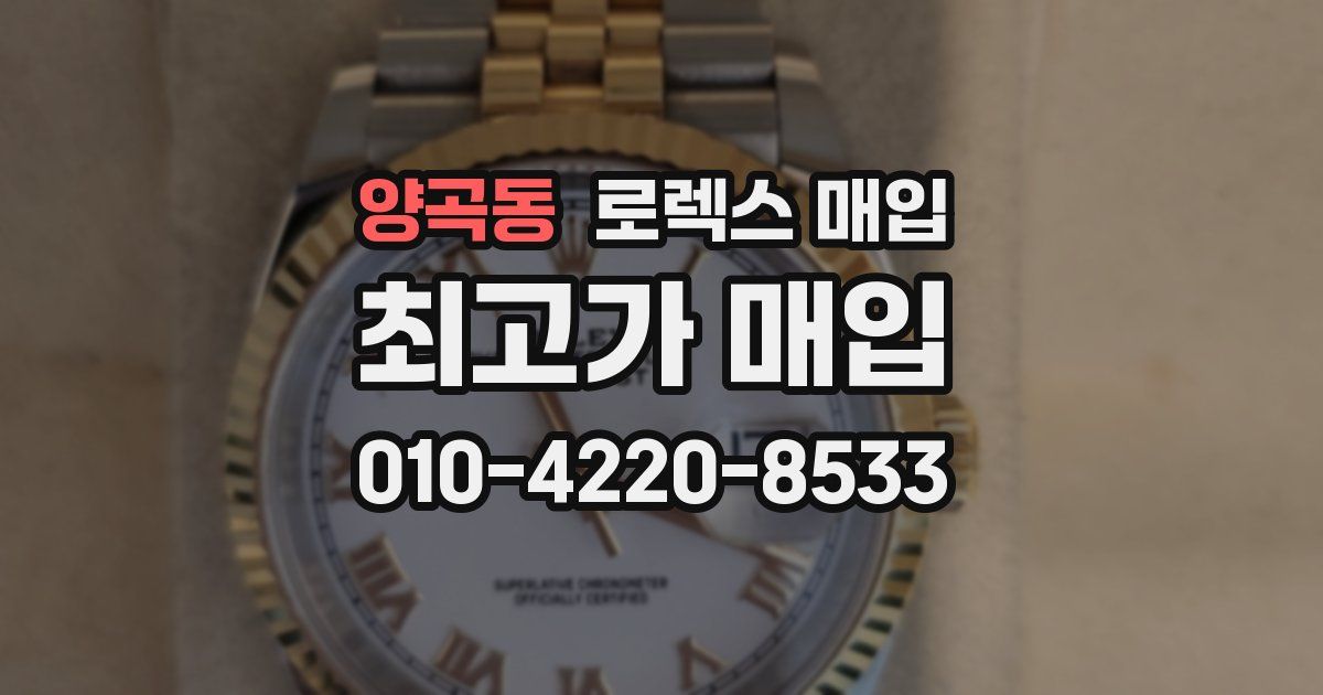 양곡동 로렉스 매입