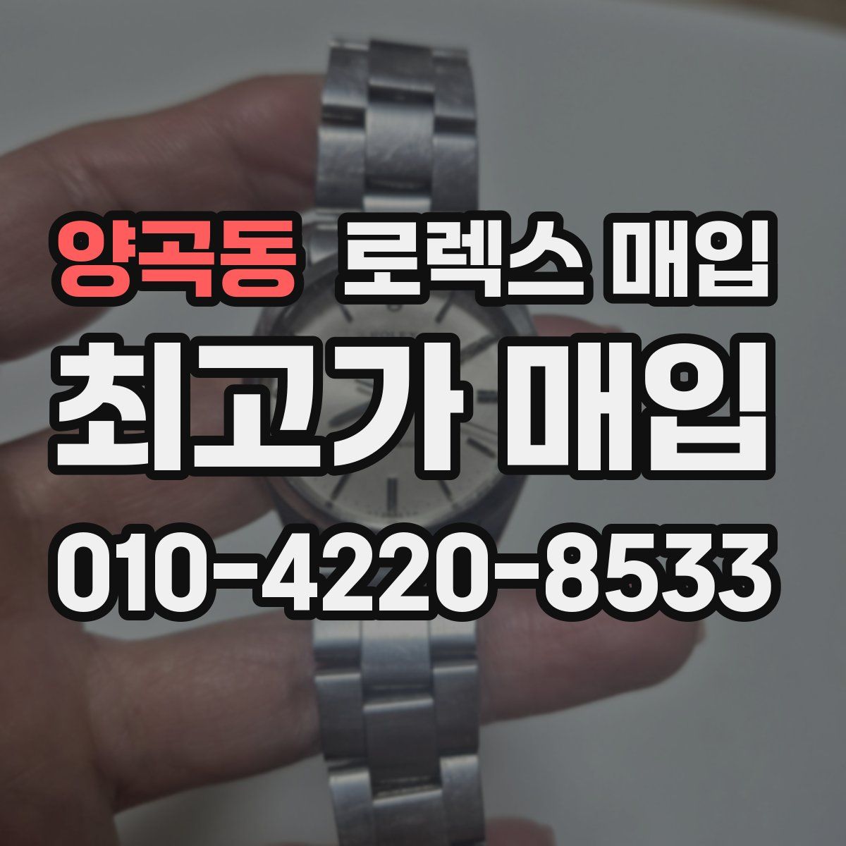 양곡동 로렉스 매입