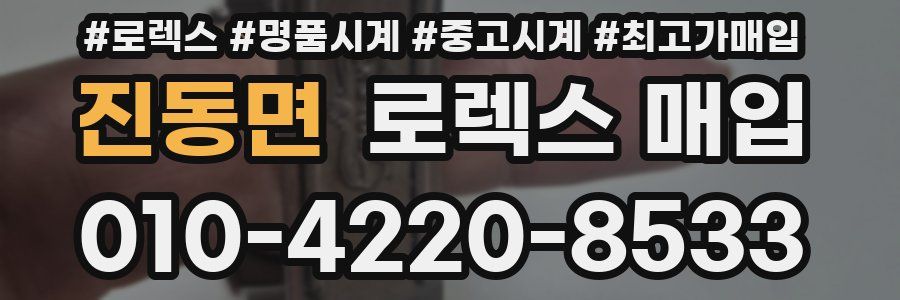 진동면 로렉스 매입