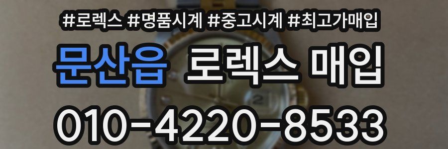 문산읍 로렉스 매입