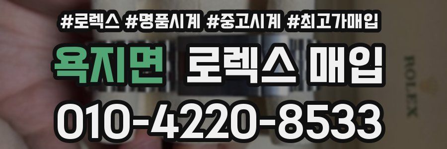 욕지면 로렉스 매입