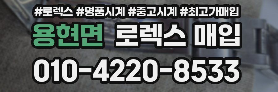 용현면 로렉스 매입