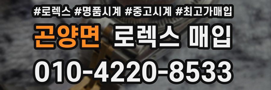 곤양면 로렉스 매입