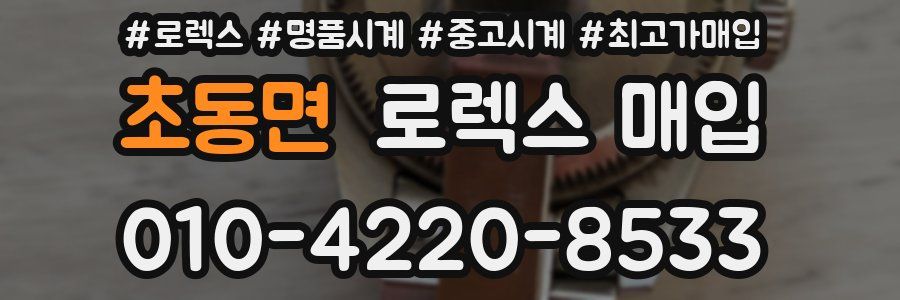 초동면 로렉스 매입