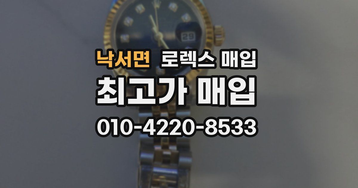 낙서면 로렉스 매입