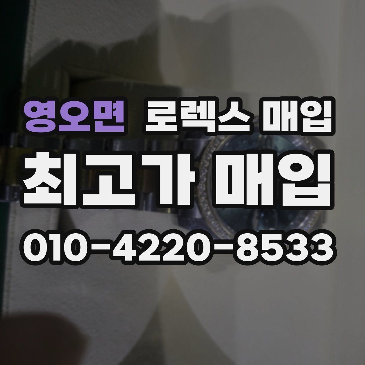 영오면 로렉스 매입 오피셜 퍼페츄얼 시세 흐름 요약
