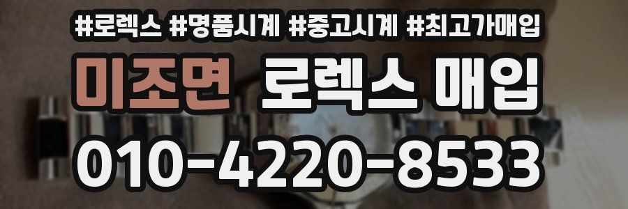 미조면 로렉스 매입