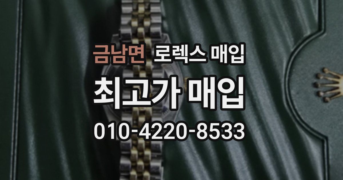 금남면 로렉스 매입