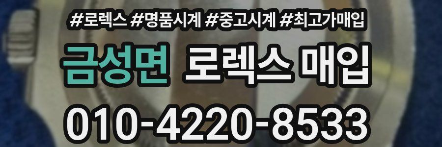 금성면 로렉스 매입