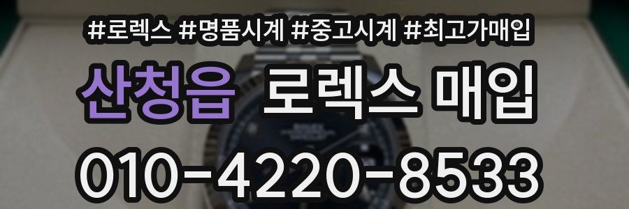 산청읍 로렉스 매입